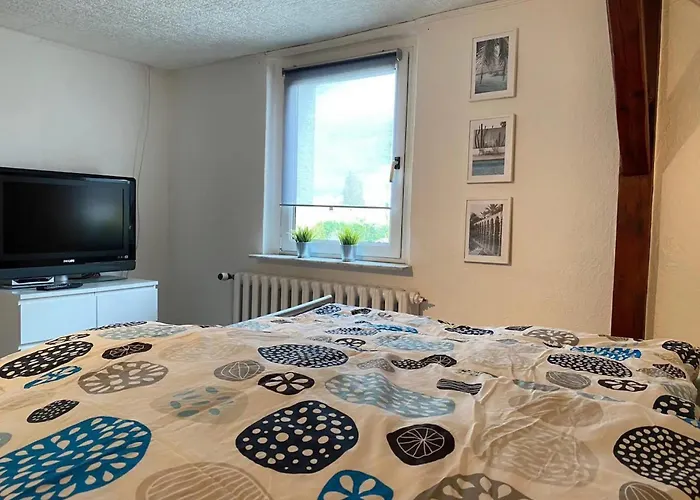 Schoene Dachgeschosswohnung * Magdeburgo